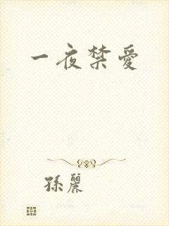 一夜禁爱