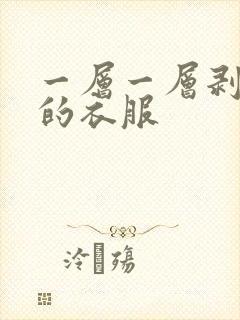 一层一层剥开你的衣服
