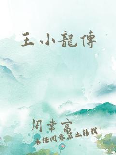 王小龙传
