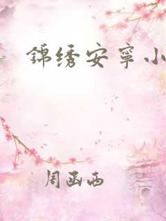 锦绣安宁小说