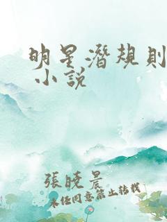 明星潜规则之皇 小说