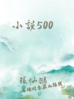 小说500