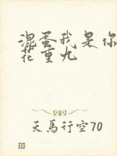 混蛋我是你哥 花重九