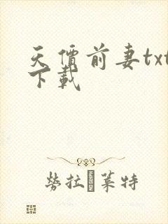天价前妻txt下载