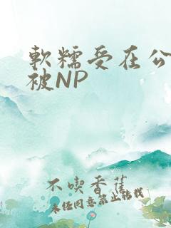 软糯受在公交车被NP