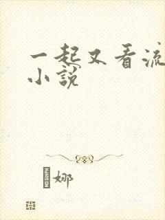 一起又看流星雨小说