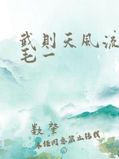 武则天风流艳情毛一