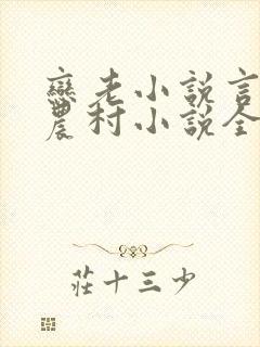 恋老小说言情网农村小说全文阅读