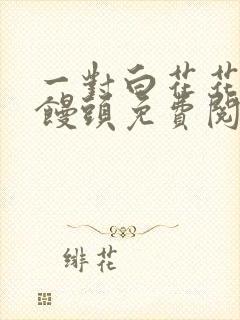 一对白花花的大馒头免费阅读