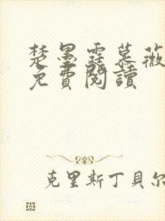 楚墨霆慕薇小说免费阅读