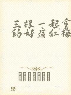 三根一起会坏掉的好痛红梅