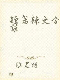 短篇辣文合集小说