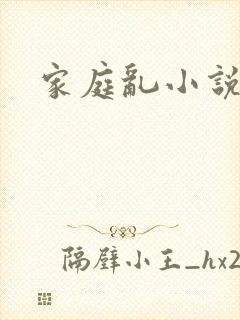 家庭乱小说