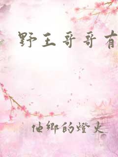 野王哥哥有点甜