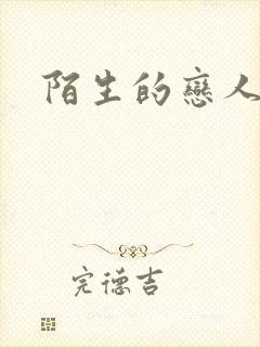 陌生的恋人小说