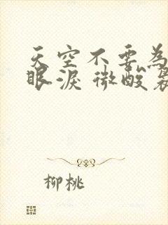 天空不要为我掉眼泪 微酸袅袅