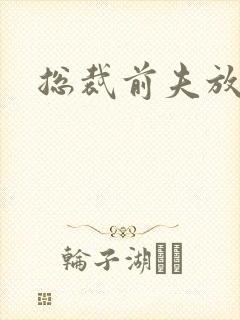 总裁前夫放了我