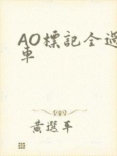 AO标记全过程车