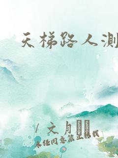 天梯路人测试器