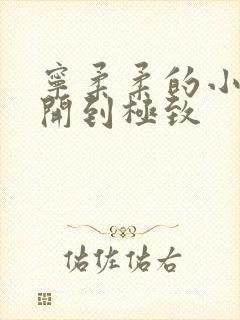 宁柔柔的小泬撑开到极致