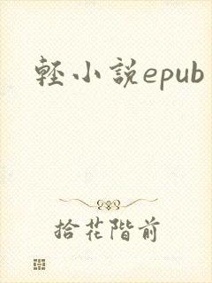 轻小说epub