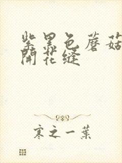 紫黑色蘑菇头顶开花缝