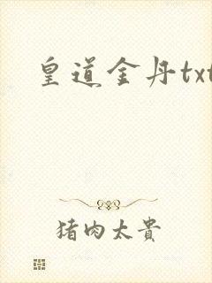 皇道金丹txt