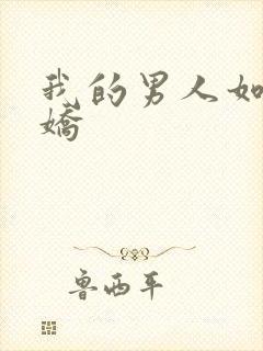 我的男人如此多娇