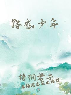 路感少年