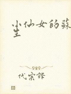 小仙女的苏撩先生