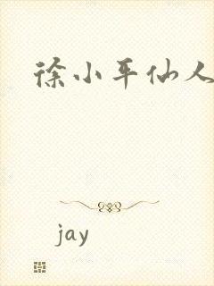 徐小平仙人指路