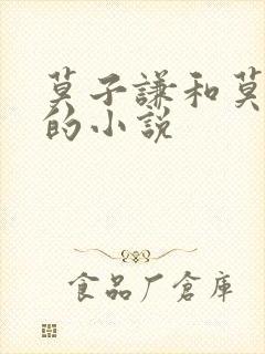 莫子谦和莫弯弯的小说