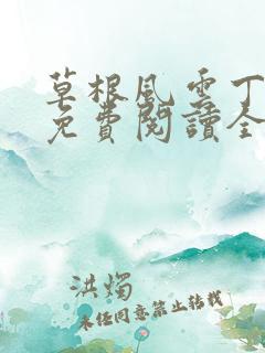 草根风云丁长生免费阅读全本