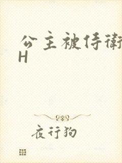 公主被侍卫灌满H