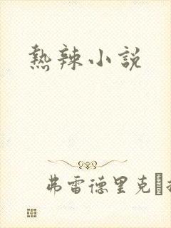 热辣小说
