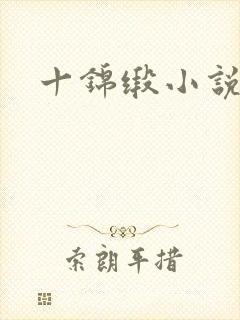 十锦缎小说
