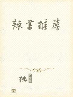 辣书推荐