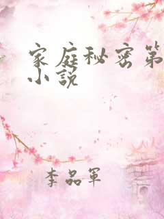 家庭秘密第3集小说