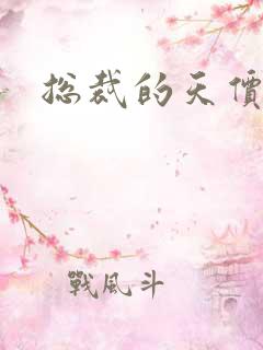 总裁的天价宝贝