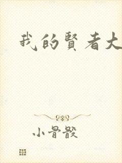 我的贤者大人