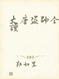 大唐盗帅全文阅读