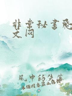 非常秘书飞速中文网