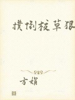 扑倒校草狠狠亲