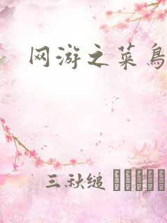 网游之菜鸟江湖