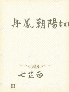 丹凤朝阳txt