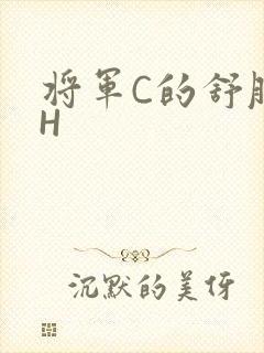 将军C的舒服么H