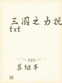 三国之力挽狂澜txt