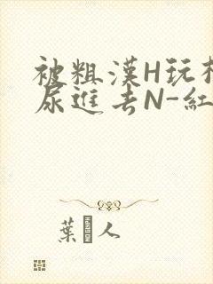 被粗汉H玩松了尿进去N-红-Q