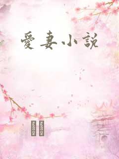 爱妻小说