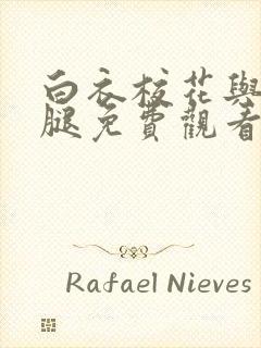 白衣校花与大长腿免费观看电视剧